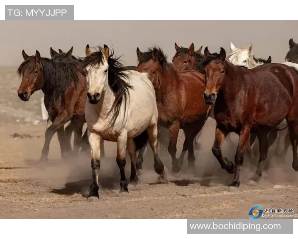 最蛇皮的足球明星背后的故事与传奇人生揭秘 最蛇皮的足球明星背后的故事与传奇人生揭秘